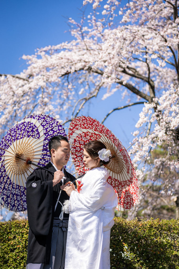 桜時期に京都の金戒光明寺での和装前撮り