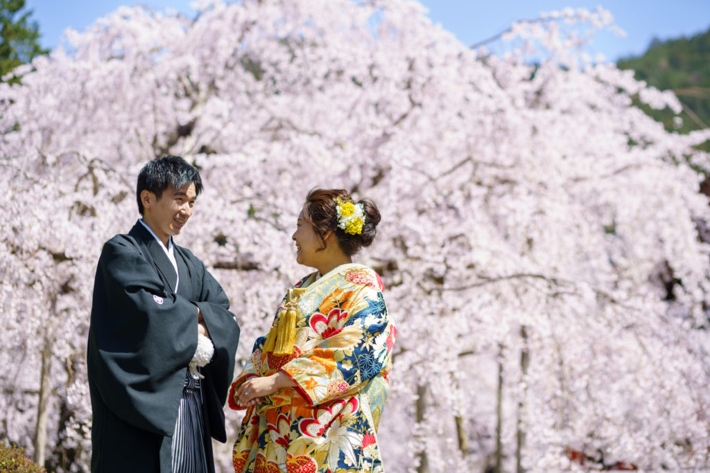 毘沙門堂の桜を背景で和装前撮り