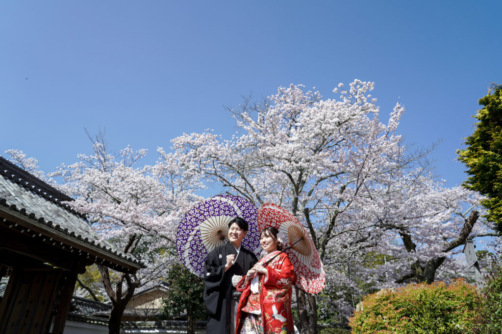 京都の毘沙門堂で桜前撮り