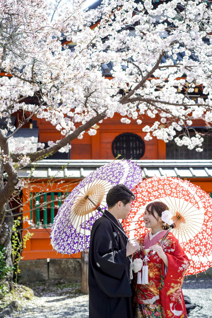 毘沙門堂の桜の下で番傘をさして和装前撮り
