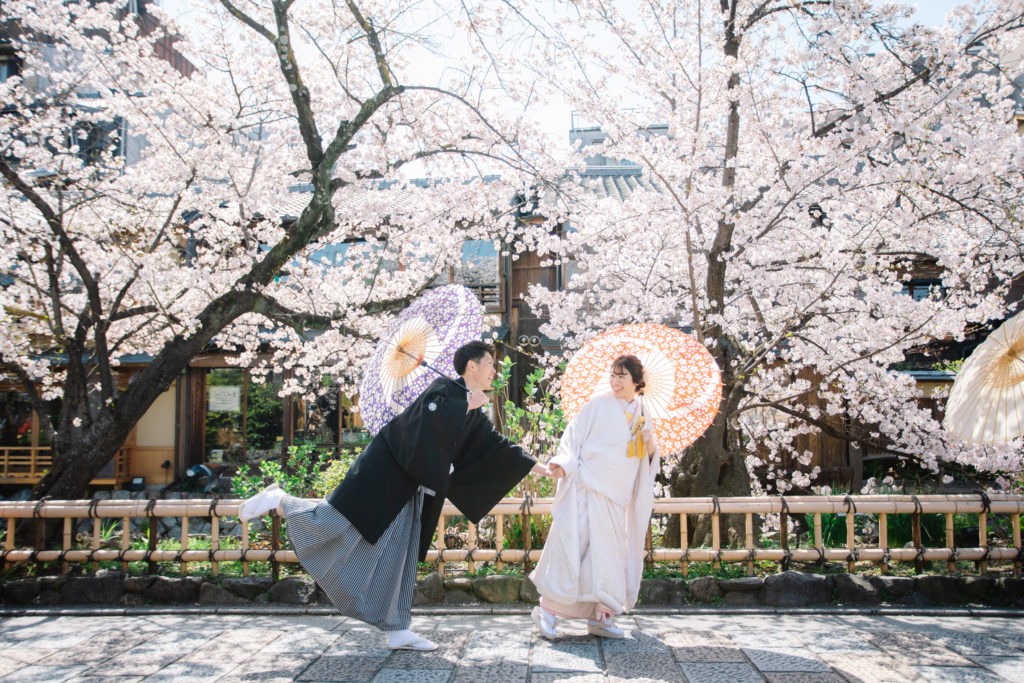 祇園の桜を背景に白無垢で前撮り