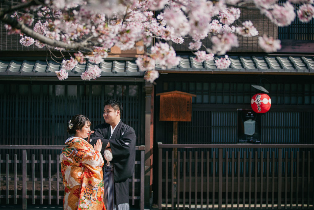 京都の町屋を背景に桜での和装前撮り