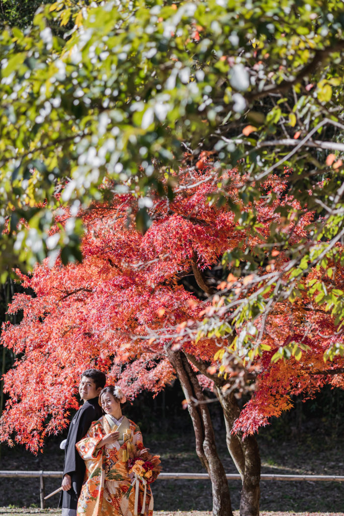 京都の大覚寺で色打掛の前撮り