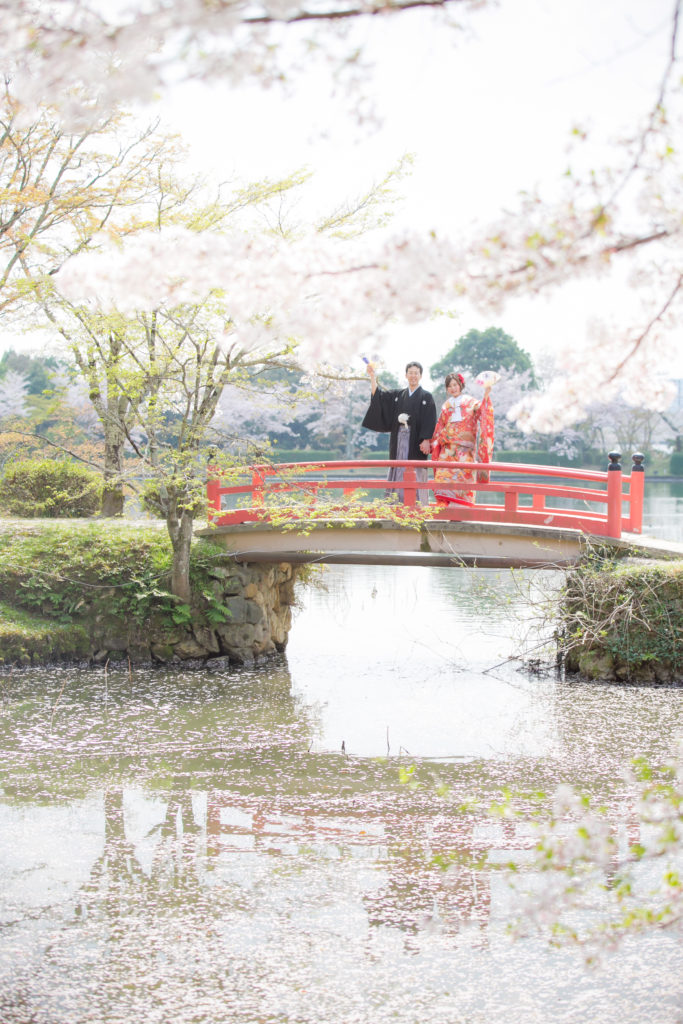 桜時期大覚寺の大沢池の朱色の橋で和装前撮り