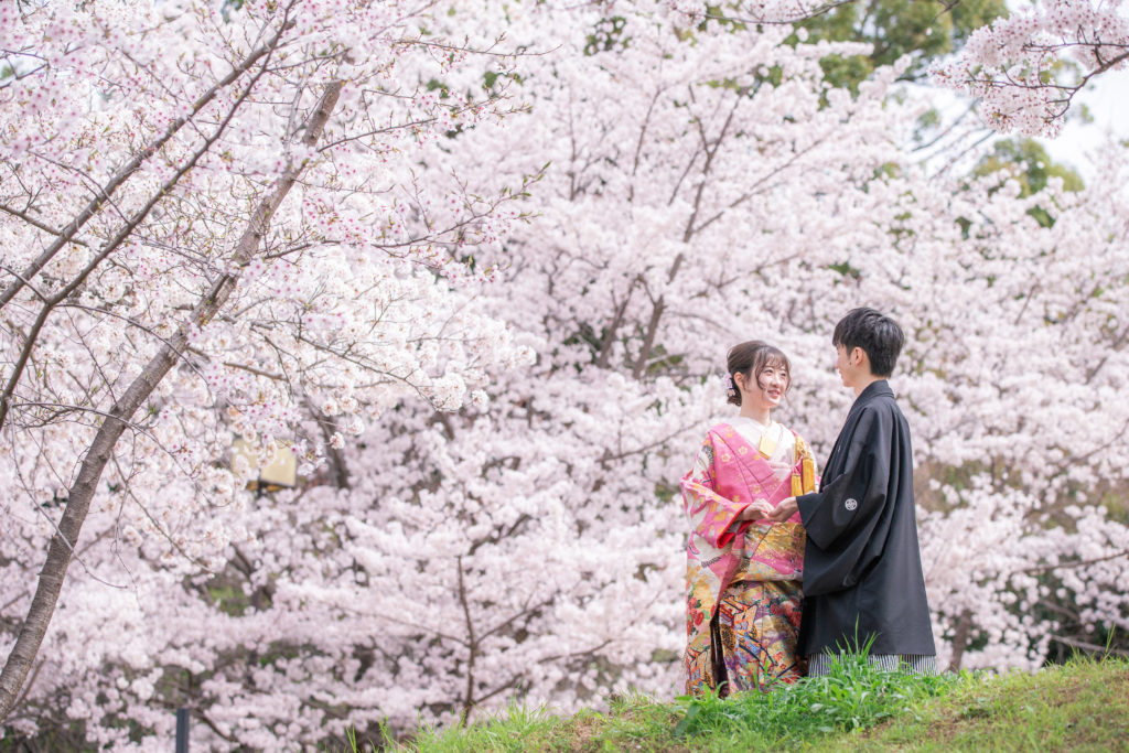 高台寺公園の桜で色打掛を着て前撮り