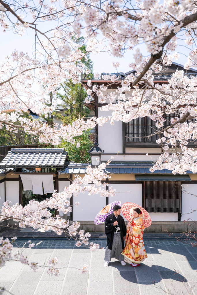 京都の街並みと桜で和装前撮り