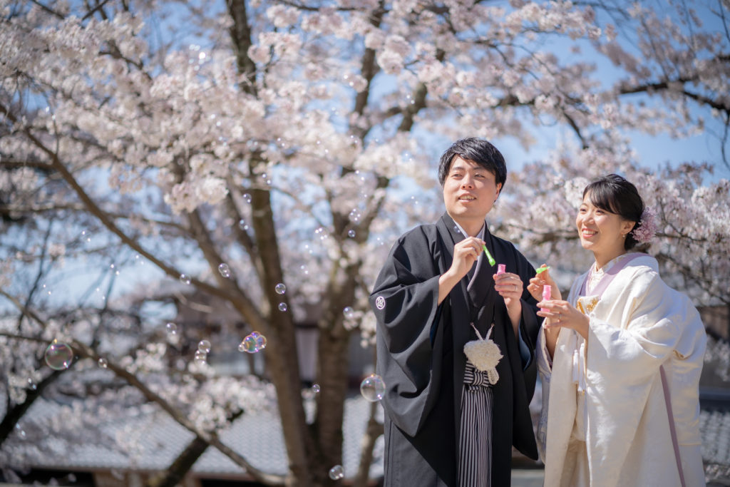 高台寺公園の桜とシャボン玉の和装前撮り