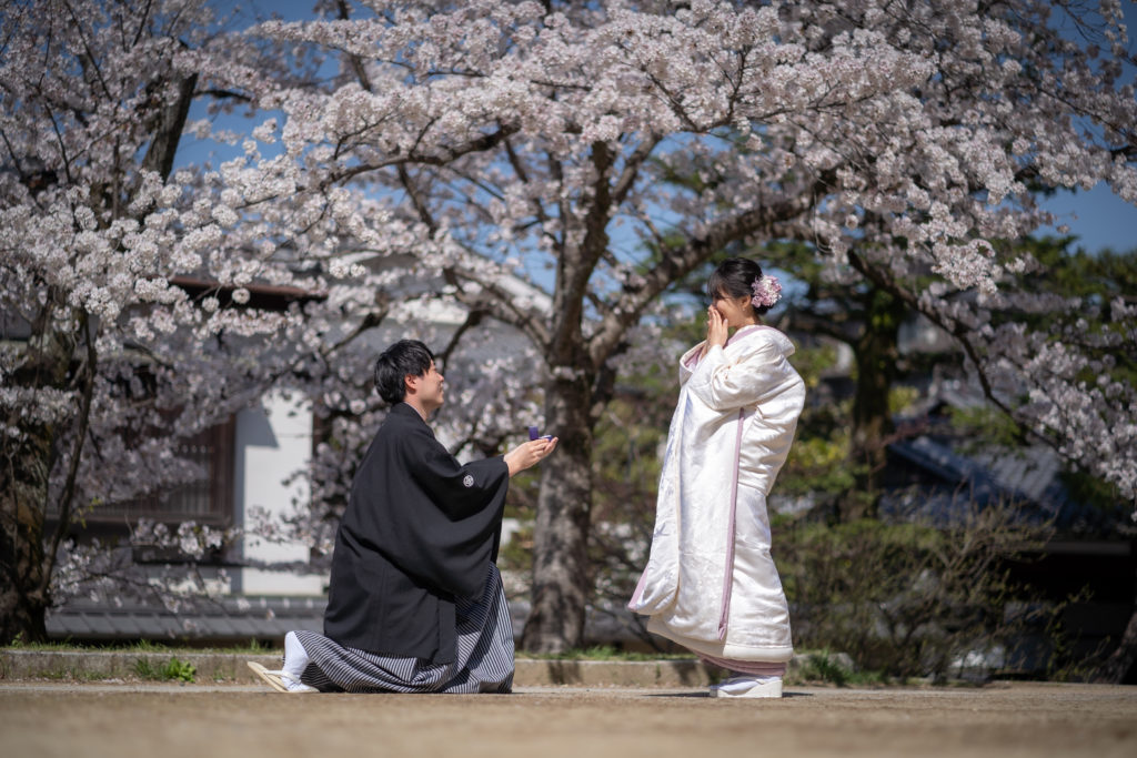 高台寺公園の桜でプロポーズショット