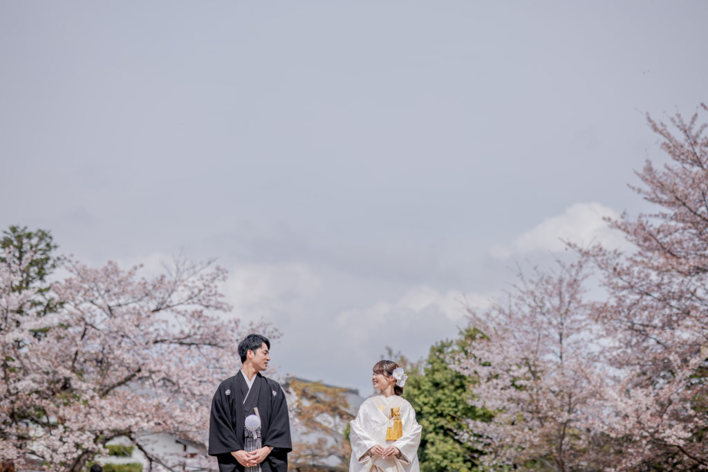 高台寺公園の桜で和装前撮り