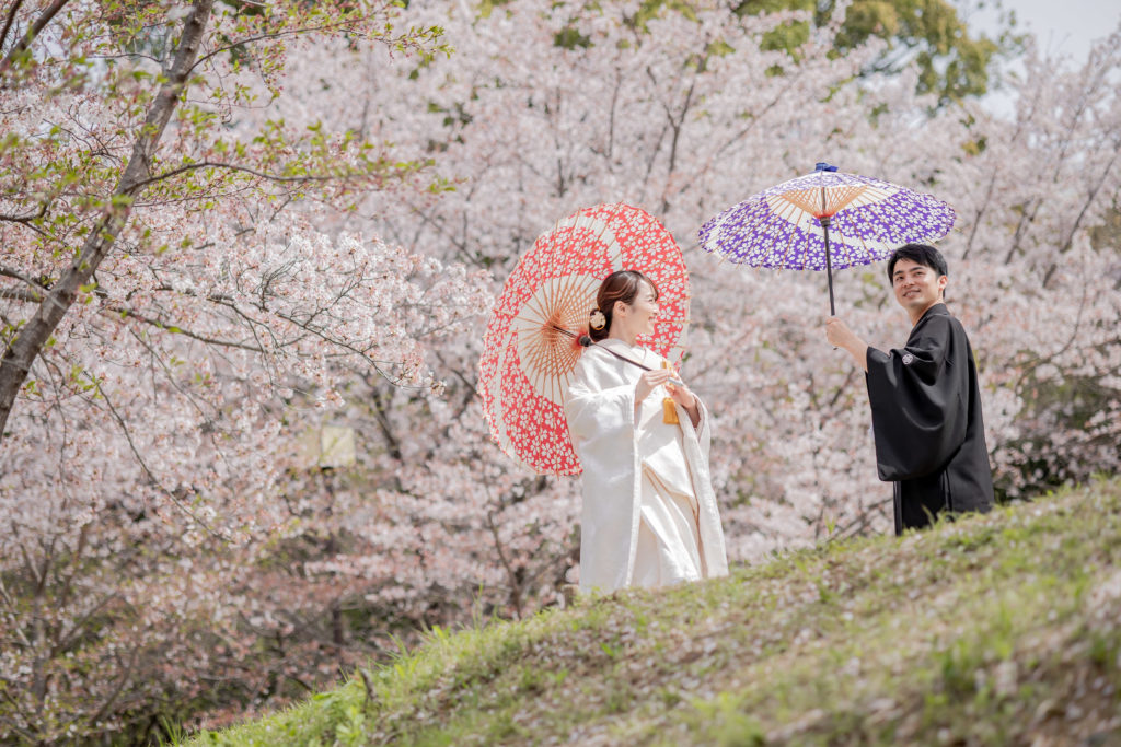 桜の中番傘をもって和装前撮り