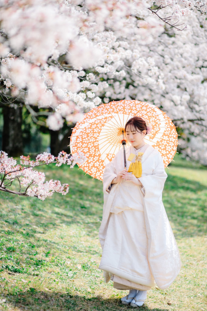 京都の鴨川での桜で白無垢を着て和装前撮り