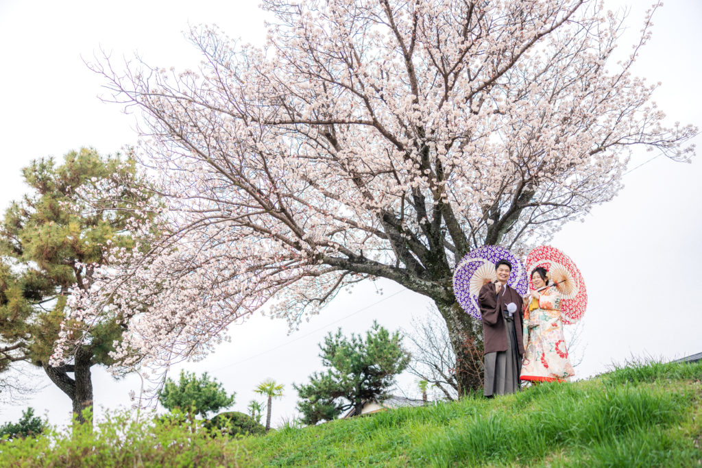 鴨川の桜と和装前撮り