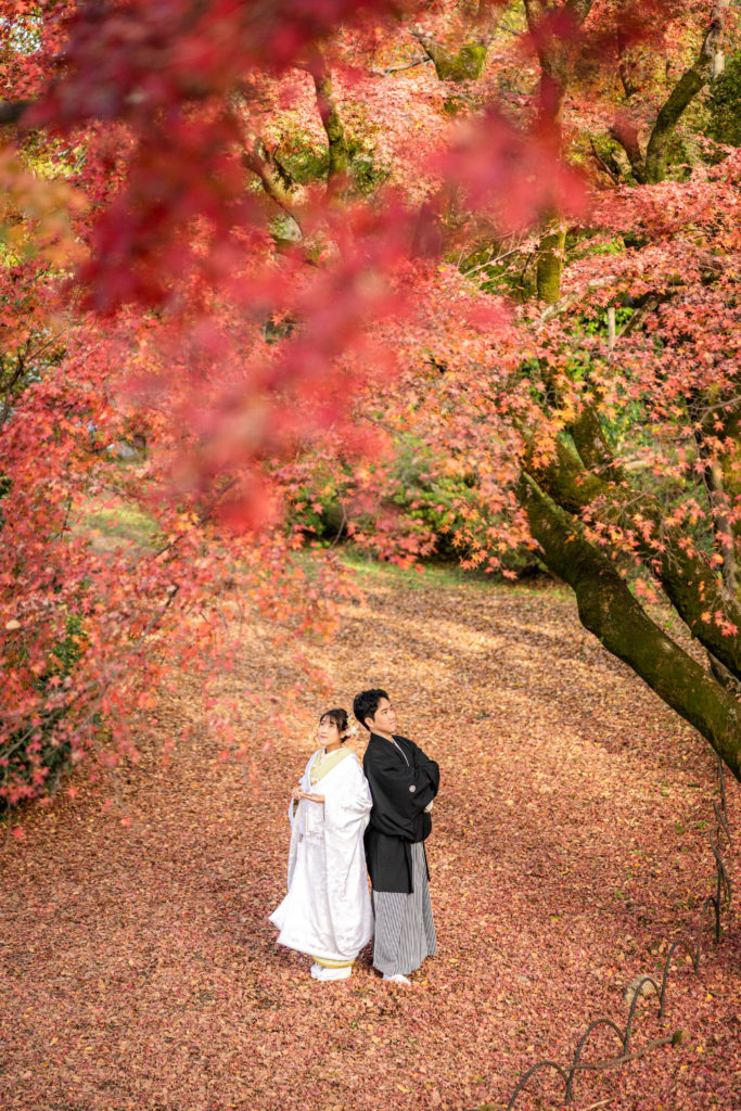 円山公園の敷き紅葉や紅葉に包まれて和装前撮り