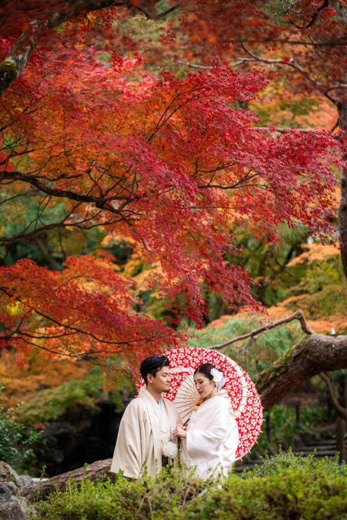 円山公園の赤い紅葉で和装前撮り
