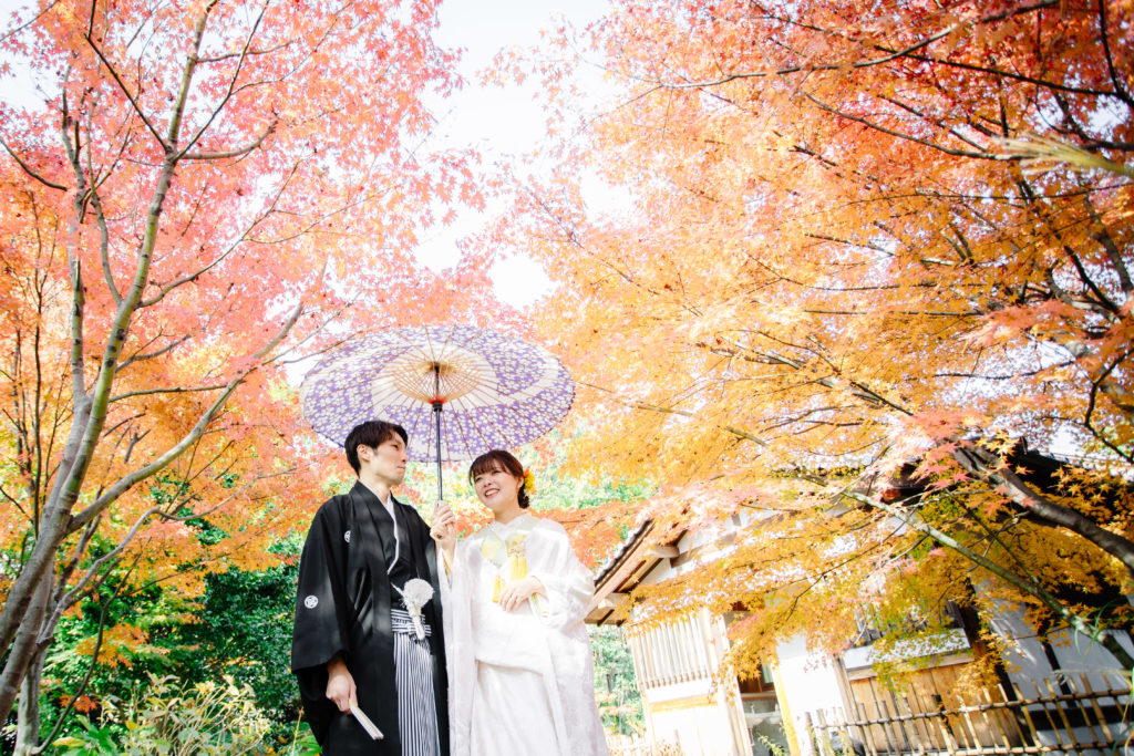 京都の勝林寺の紅葉を番傘をもって和装前撮り
