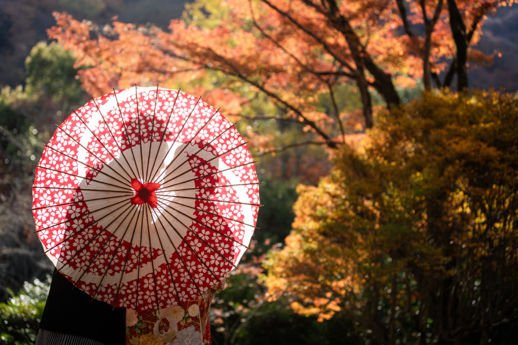紅葉時期の京都嵐山でシルエットショット