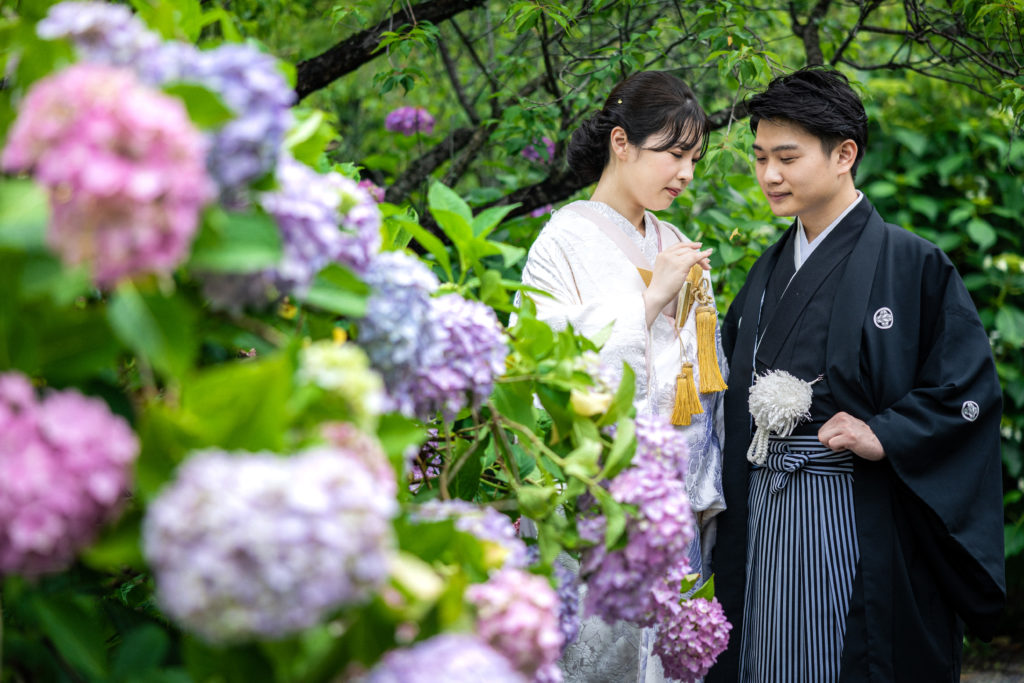 京都の梅宮大社の紫陽花と一緒に前撮り