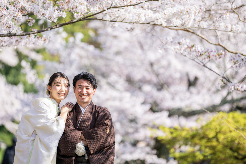 円山公園の桜を背景に和装前撮り