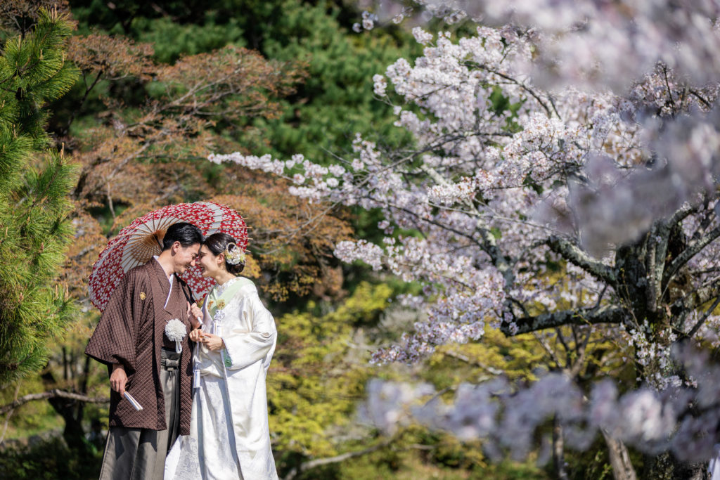 桜と自然の雰囲気を和装前撮りで撮影