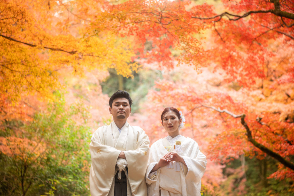 京都円山公園の紅葉で和装前撮り