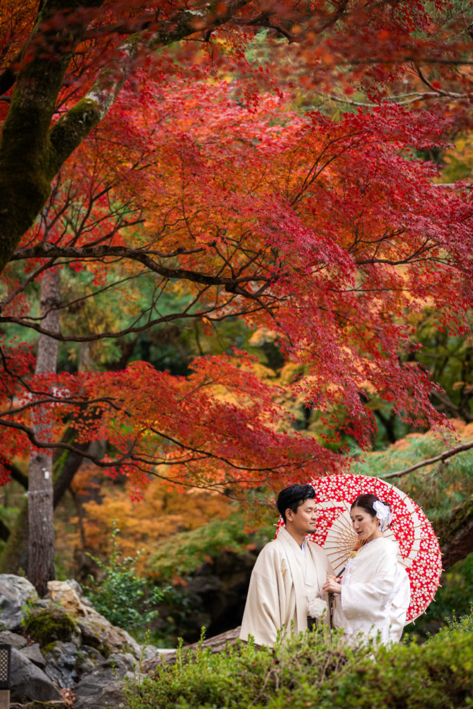 円山公園の赤い紅葉の下で和装前撮り