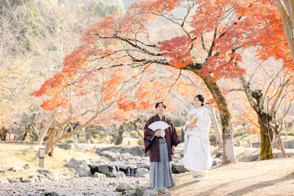 円山公園で和装前撮りを紅葉時期に撮影