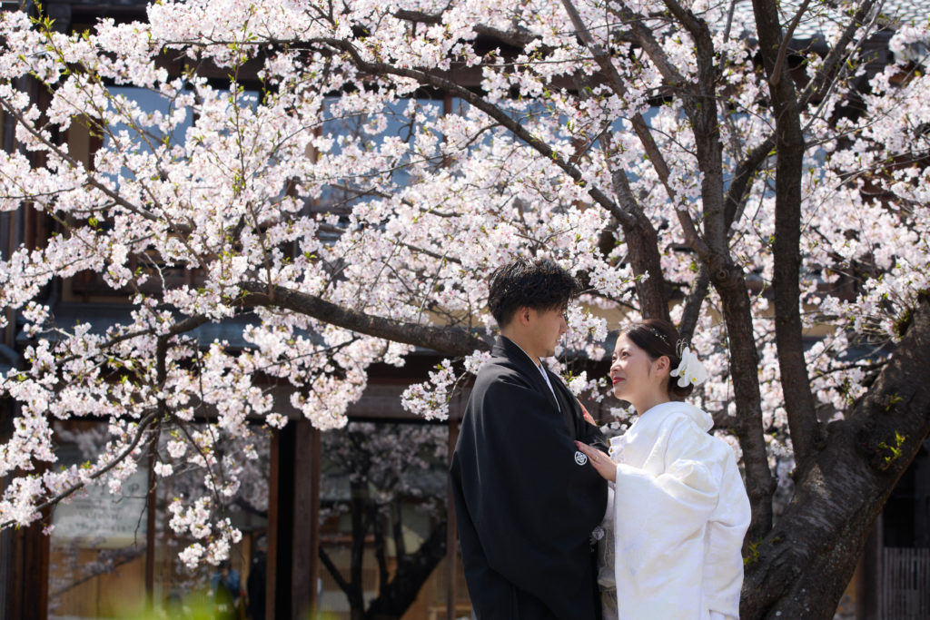 祇園の桜を背景に白無垢での和装前撮り