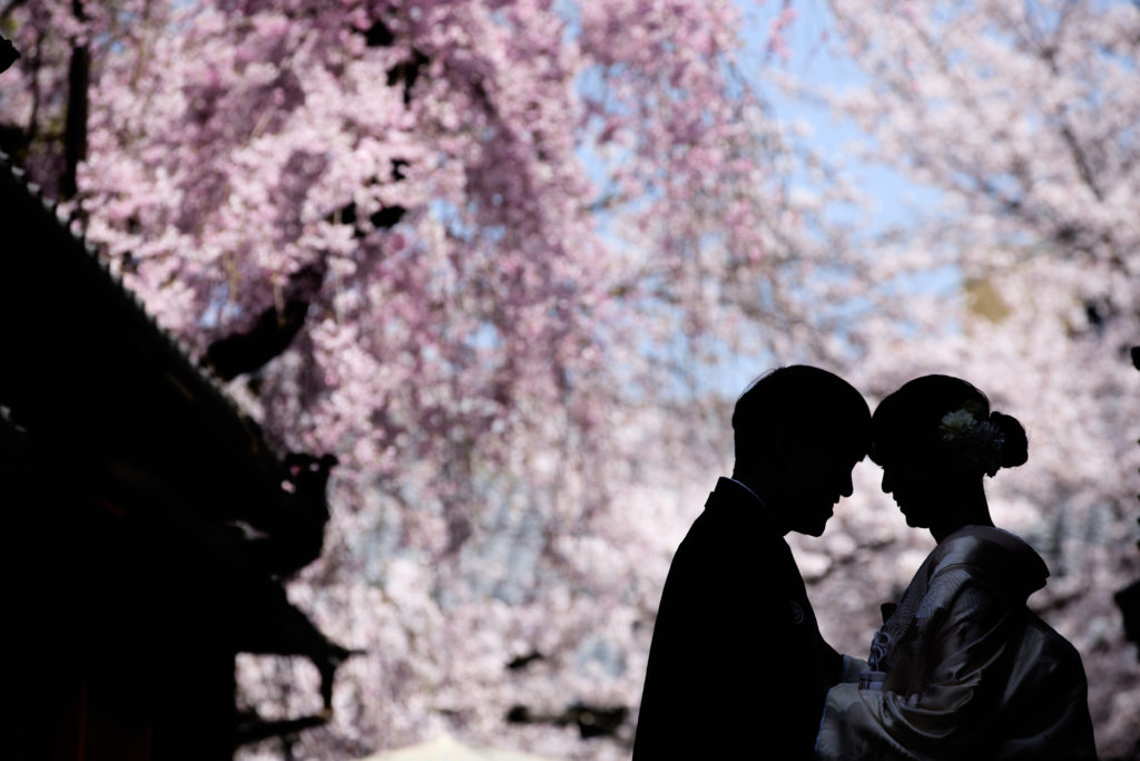 桜とのシルエットショット