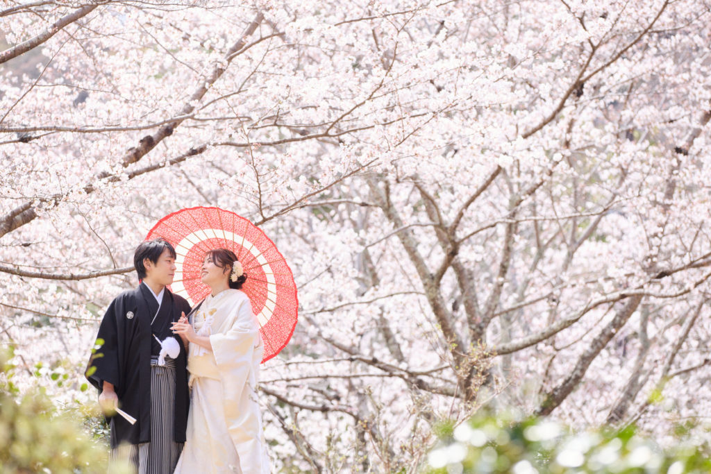 嵐山前撮り 桜の季節 京都