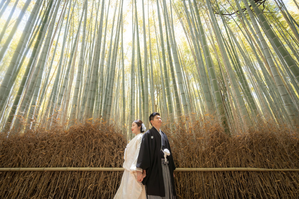 竹林背景の嵐山前撮り構図