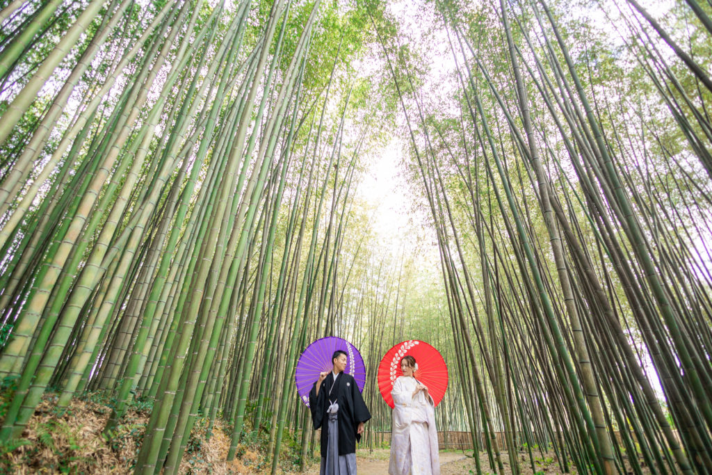 雨の日に撮影する大覚寺前撮り 番傘ショット