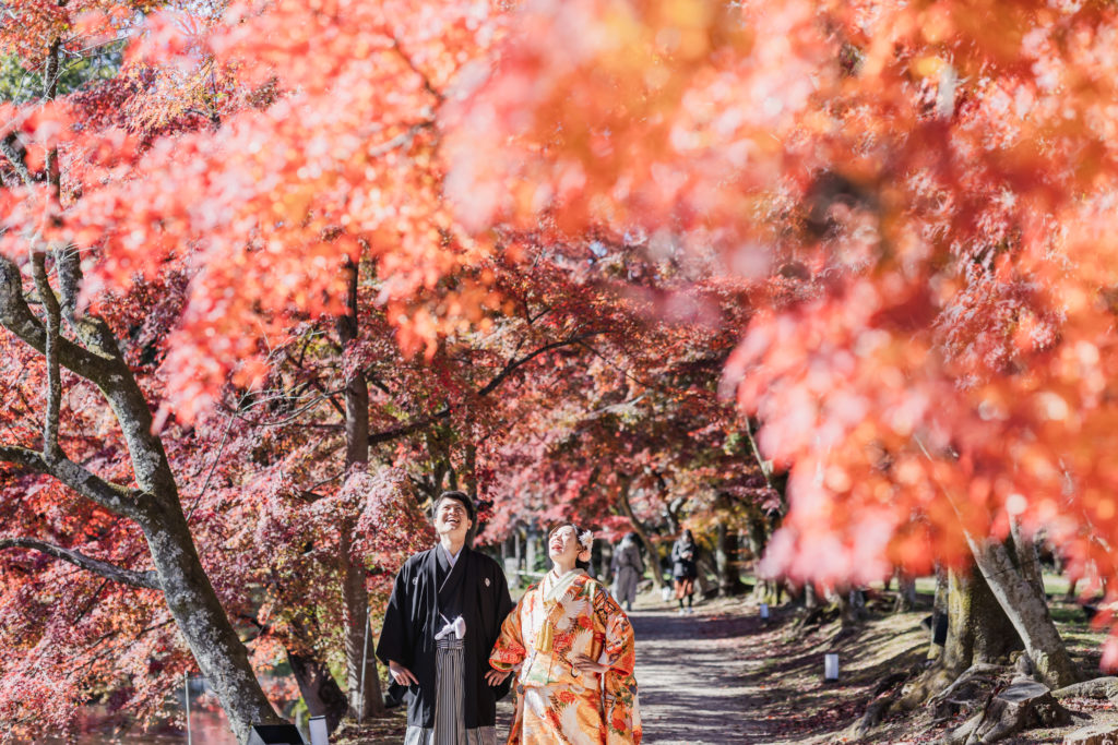 大覚寺前撮り 紅葉の季節 京都
