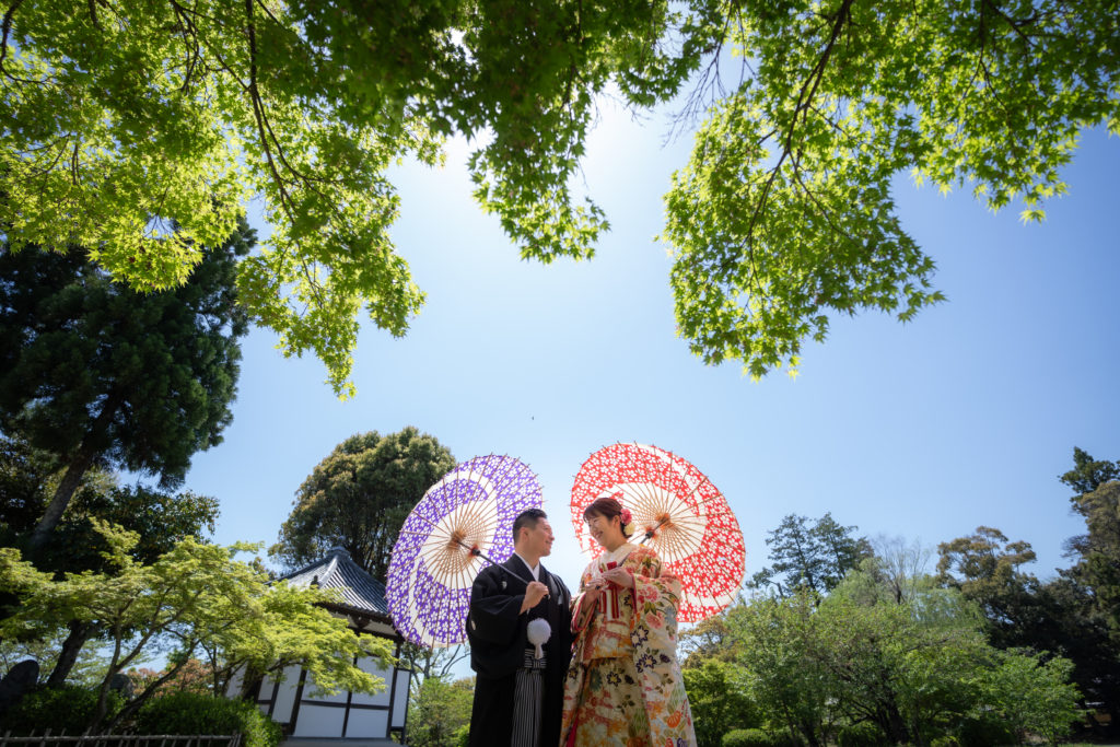 季節の景色を活かした大覚寺お庭ショット