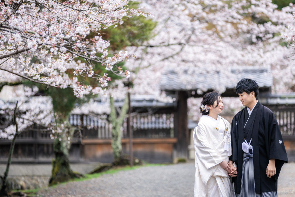 桜と建物が映える大覚寺前撮り