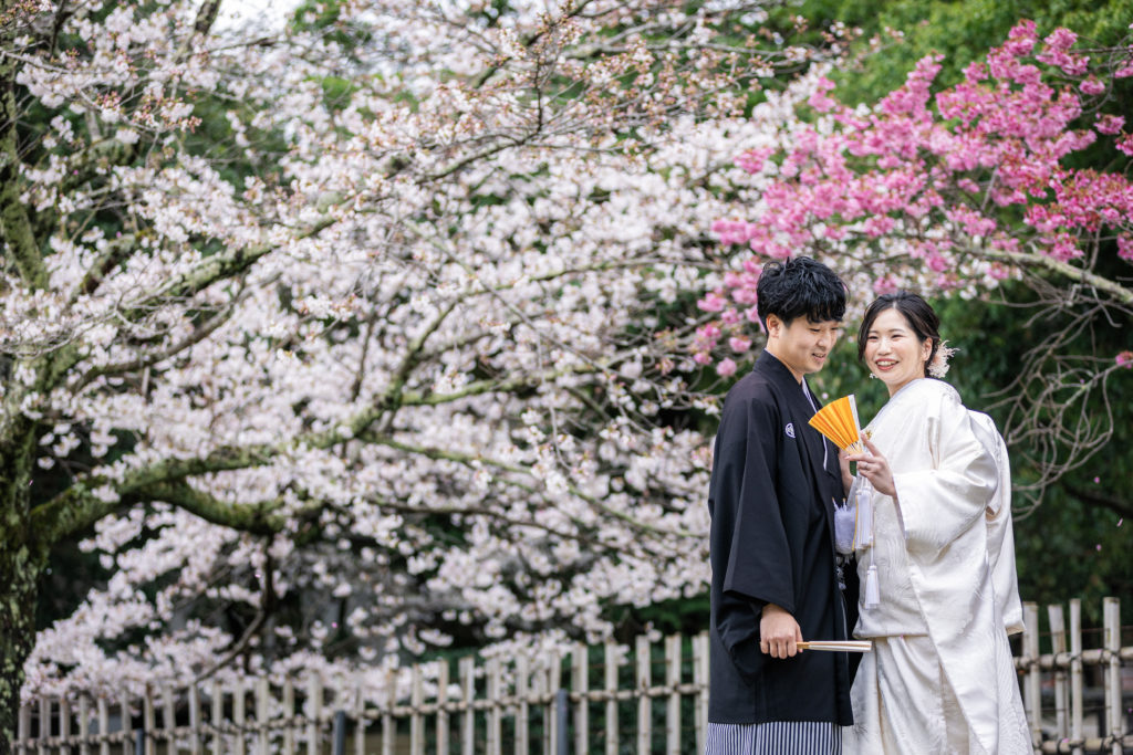 大覚寺前撮り 桜の季節 京都