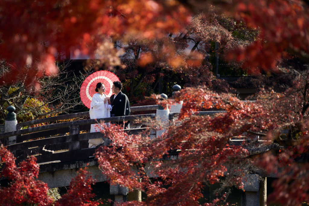 金戒光明寺前撮り 紅葉の季節 京都
