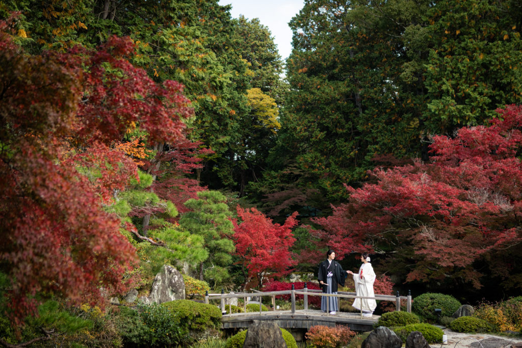 紅葉が美しい金戒光明寺前撮り 京都