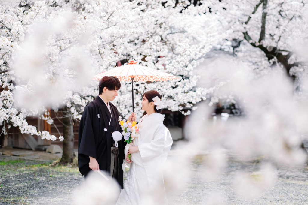 桜背景の立本寺前撮り構図