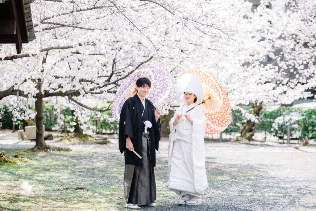 桜を活かした立本寺前撮り写真
