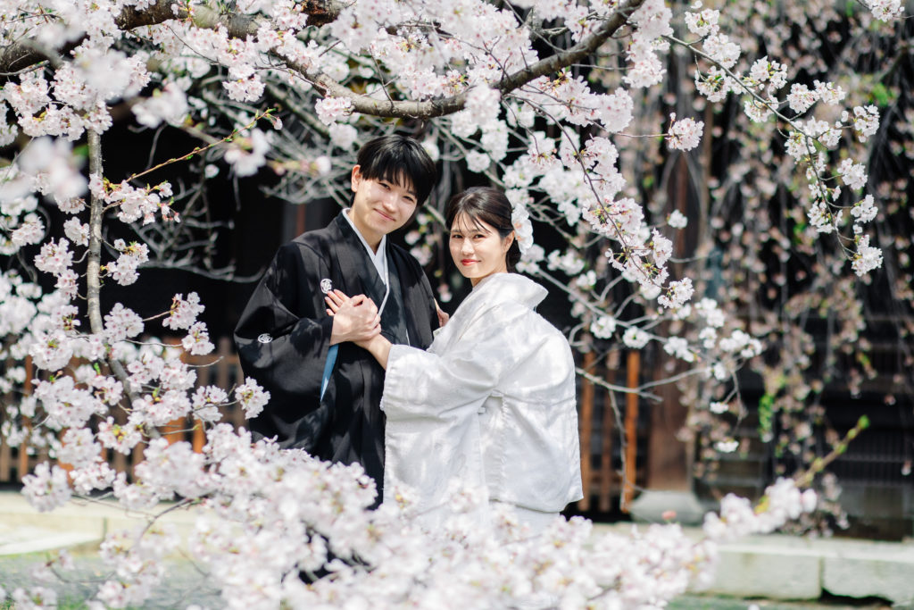 桜を背景にした立本寺和装前撮り