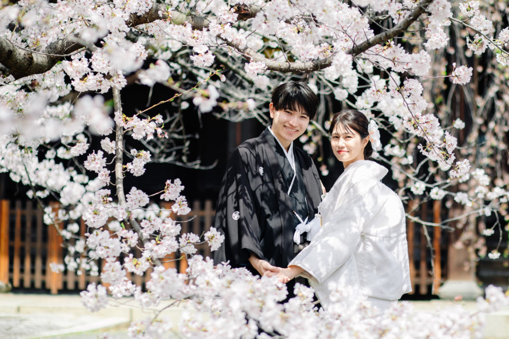 桜が美しい立本寺前撮り 京都